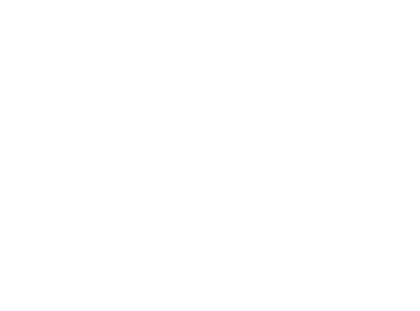 SDI — Sistema Digital de Informações